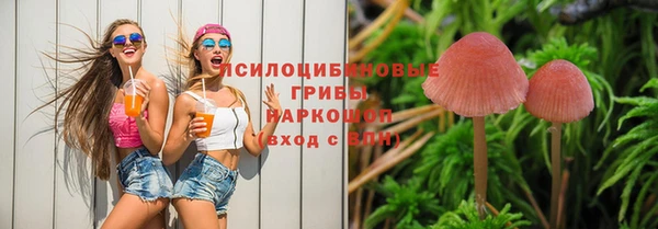 Альфа ПВП Бугульма