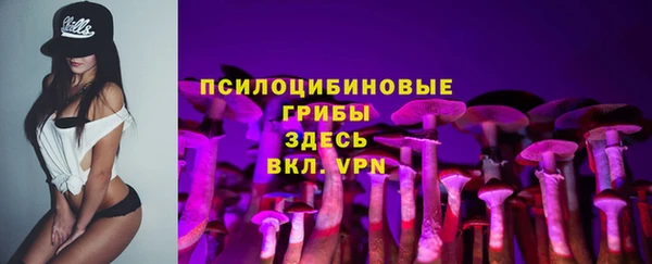 эйфоретик Верхний Тагил