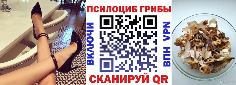 Галлюциногенные грибы Psilocybine cubensis  где найти   Змеиногорск 